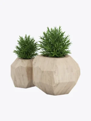 product-image-7_optimized 長戟大兜蟲(DH)